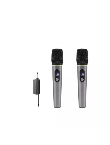 HDX2791 Kablosuz 2’li Mikrofon