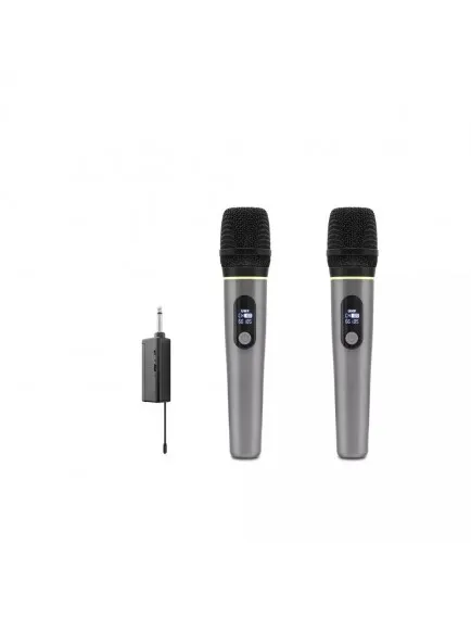 HDX2791 Kablosuz 2’li Mikrofon